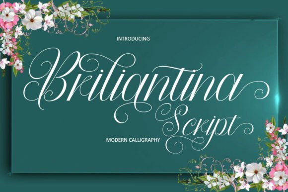 Briliantina Script: The Perfect Typeface for Handmade Brands