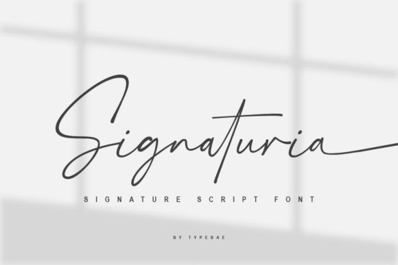 Signaturia: The Elegant Script Font for Handmade Brands