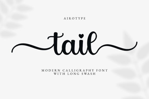 Tail: A Modern Script Typeface for Editorial Elegance